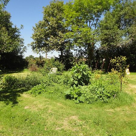 Tranquille Vienne Gites A Chirac Dept Charente Ngoại thất bức ảnh