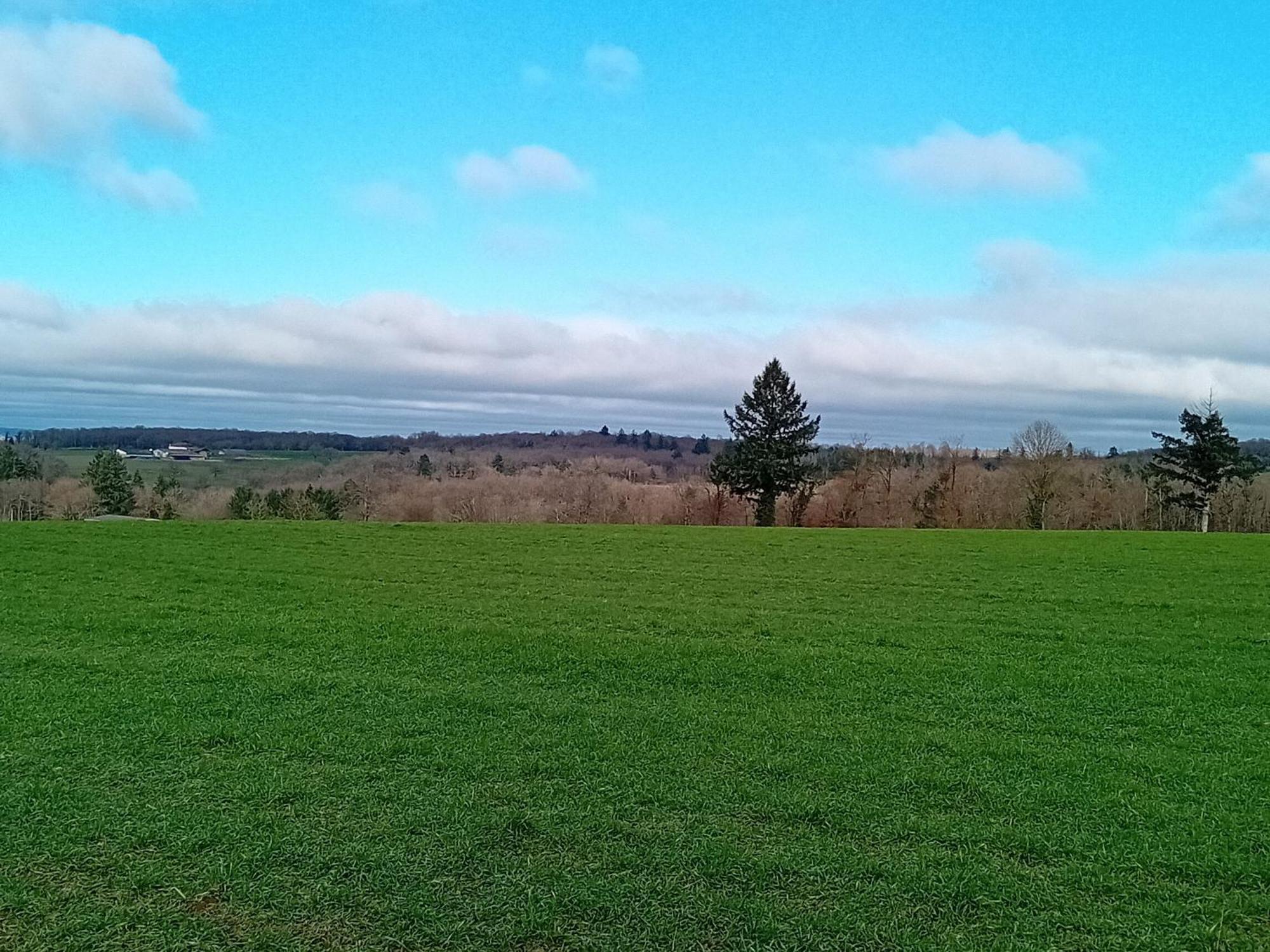 Tranquille Vienne Gites A Chirac Dept Charente Ngoại thất bức ảnh