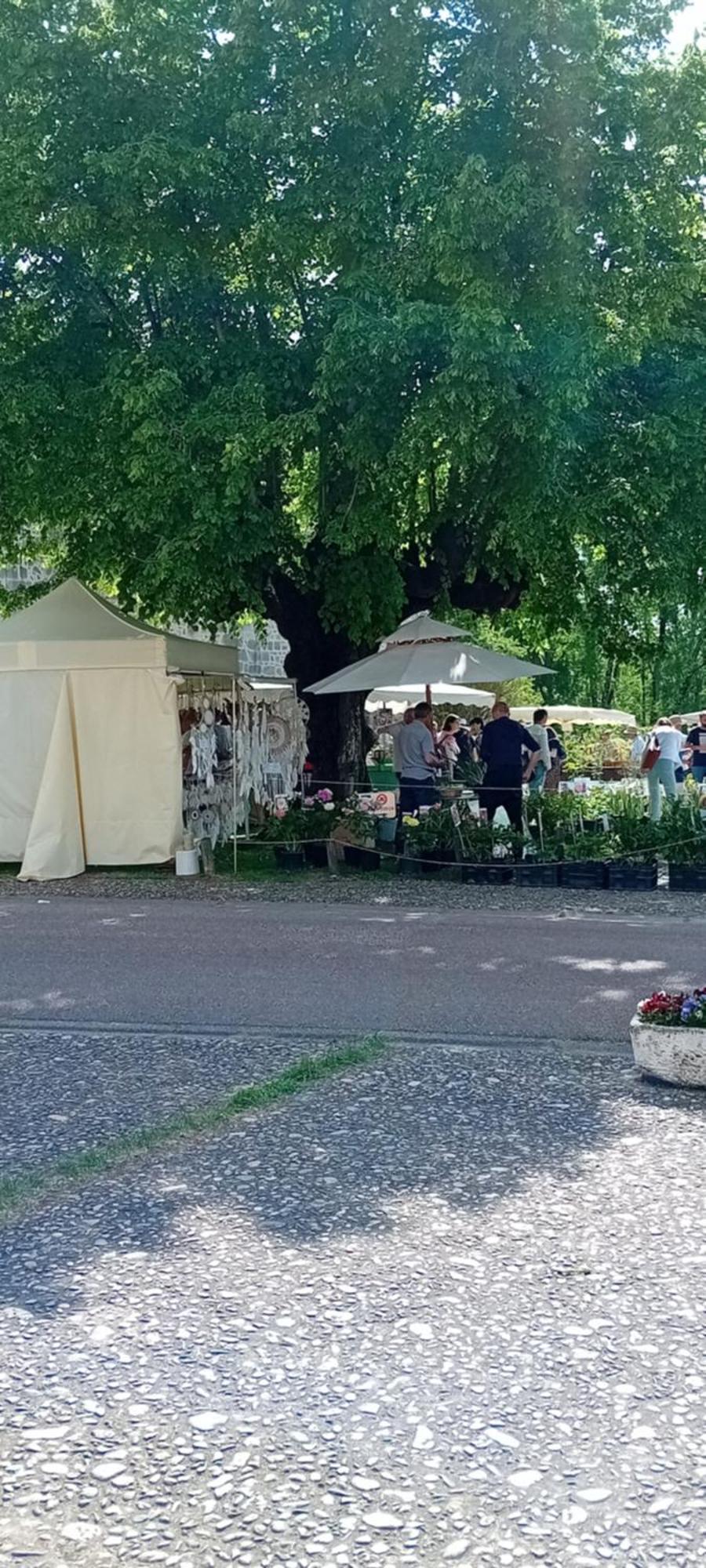 Tranquille Vienne Gites A Chirac Dept Charente Ngoại thất bức ảnh